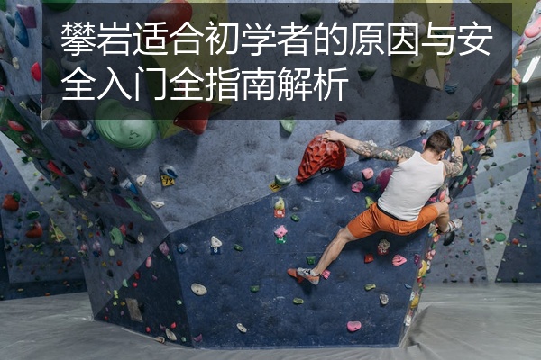 攀岩适合初学者的原因与安全入门全指南解析